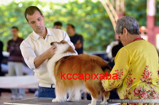 Clique sobre a foto para fechar